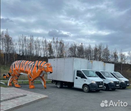 Грузоперевозки / Межгород