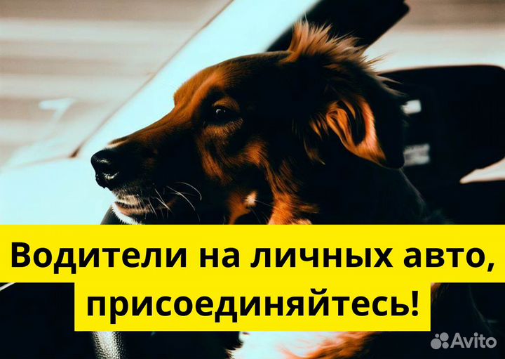 Присоединяйтесь к яндексgo на своем авто