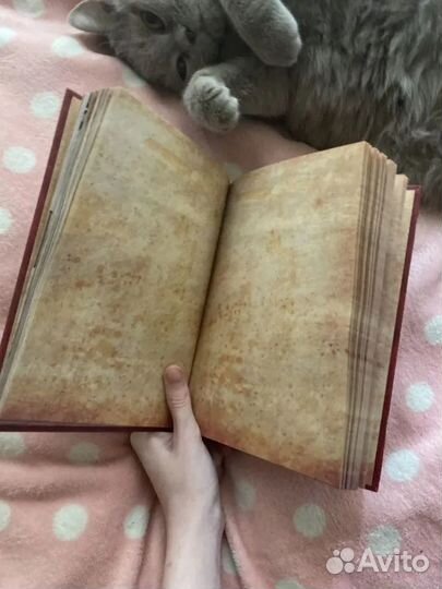 Гравити фолз дневник 3