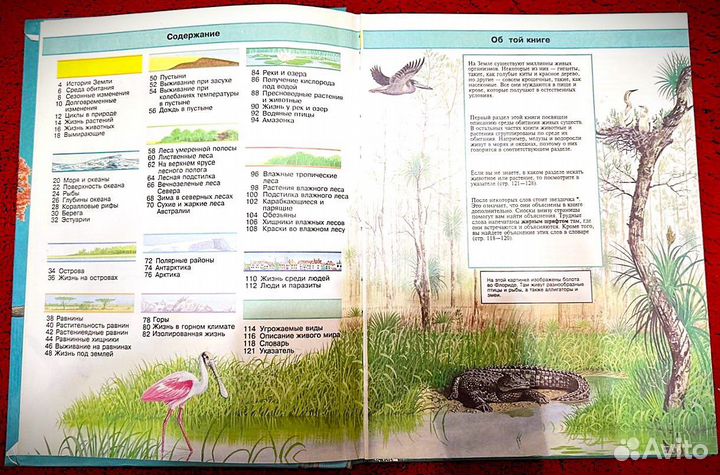 Детские энциклопедии Росмэн