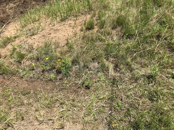 Участок 15,4 сот. (личное подсобное хозяйство (лпх))