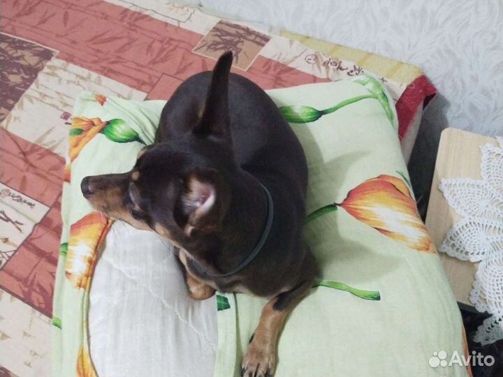 Мальчик ищет девочку