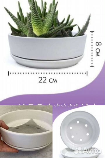 Кашпо горшок для цветов