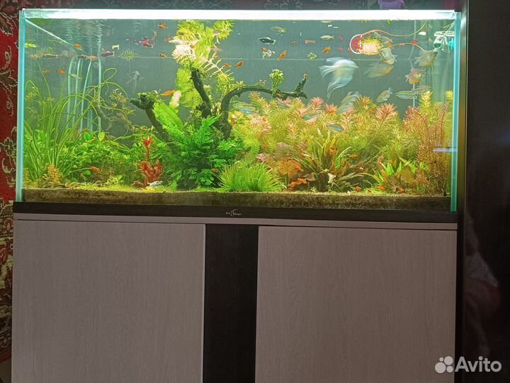 Украшение для аквариума