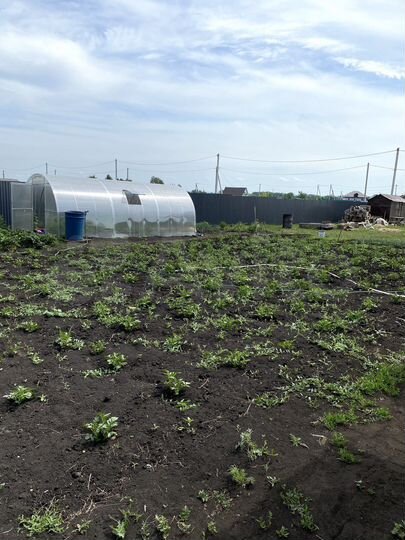 Дом 190 м² на участке 11 сот.