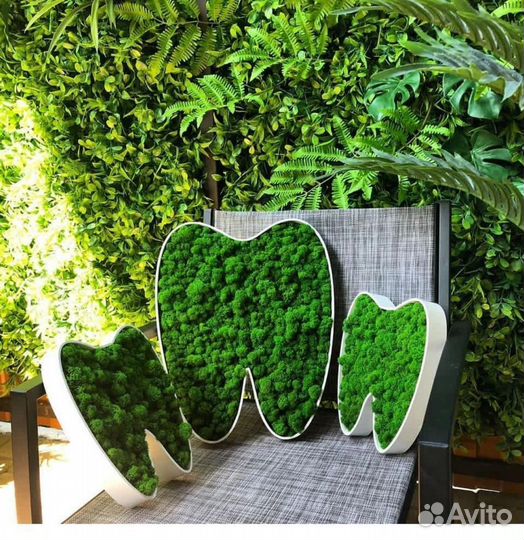 Вывеска из стабилизированного мха