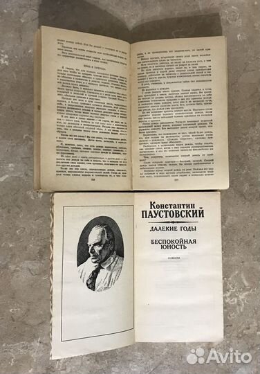 Ян Неруда, Толстой, Ф.М.Достоевский, К.Паустовский