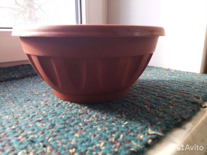 Горшки невысокие под фиалки,рассаду,Полки