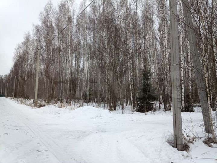 Участок 10 сот. (СНТ, ДНП)
