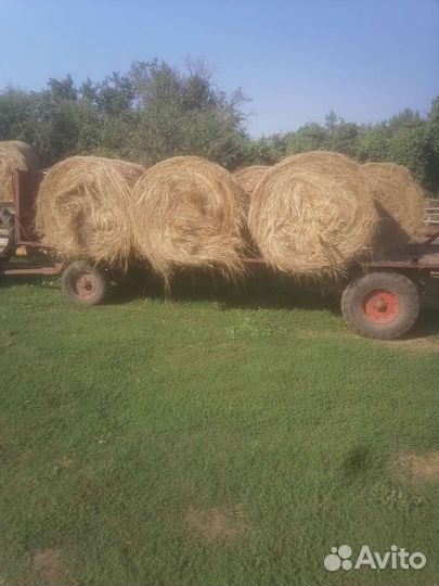 Трактор Агромаш 30ТК Владимирец, 1970