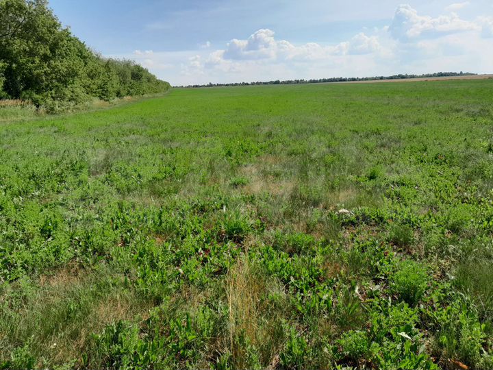 Участок 8 га (СНТ, ДНП)