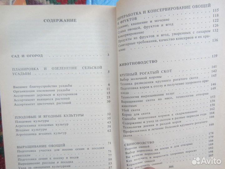 С. Дилэни. Вавилон-17. 1993 год