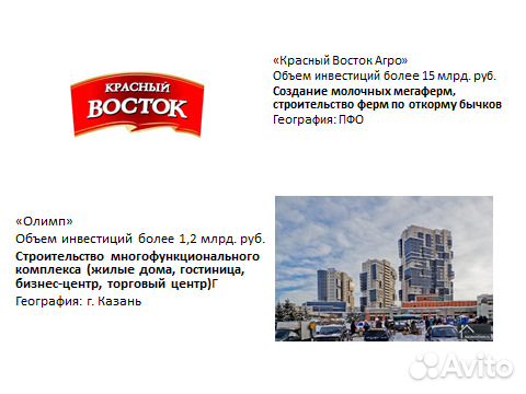 Бизнес план. Финансовая модель. Грантрайтер