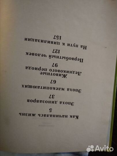 Что было до нашей эры. динозавры