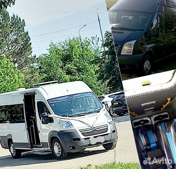 Аренда Трансфер Автобуса пассажирские перевозки