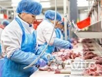 Рабочие на производство Вахта в Ростов 15 смен