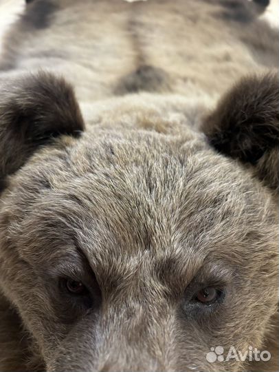 Ковер имитация под шкуру медведя