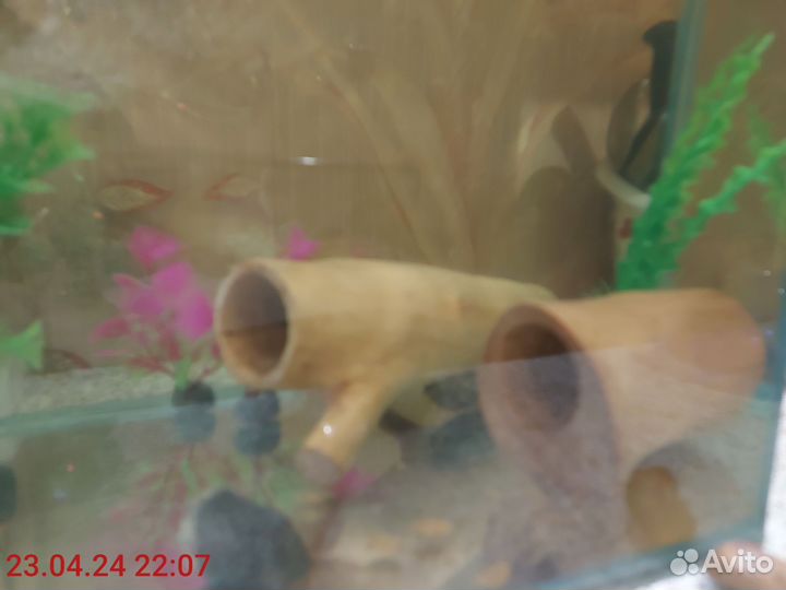 Коряги для аквариума