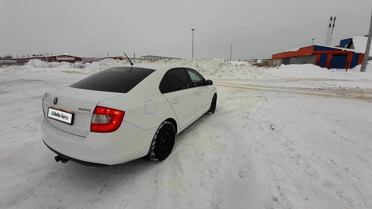 Skoda Rapid: фото владельца