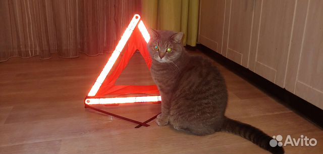 Аварийный знак