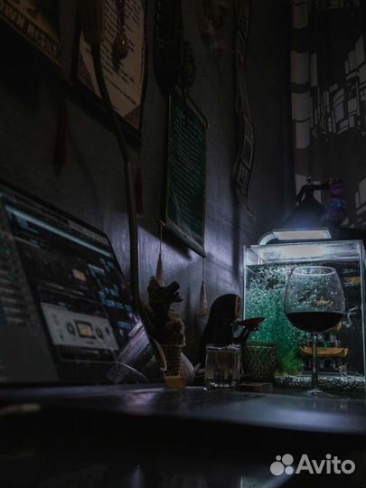 Запись вокала голоса домашняя студия звукозаписи