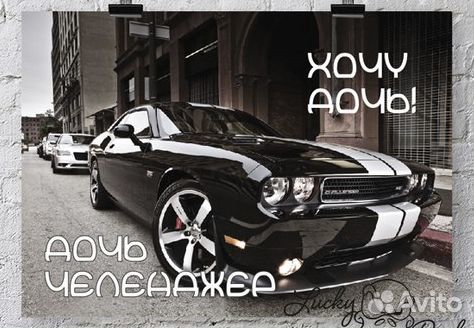 Плакаты постеры