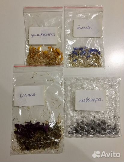 Семена цветов