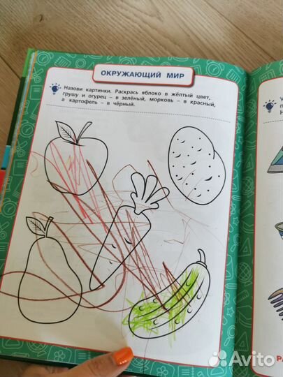 Жукова Годовой курс 2-3 года