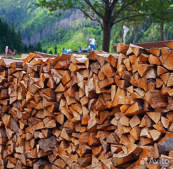 Дрова из ольхи, осины, березы