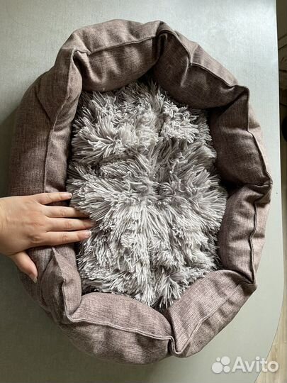 Лежанка для кошек, домик, игра