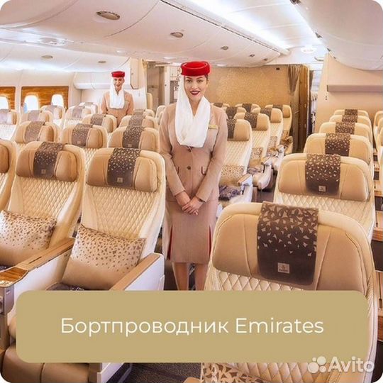Работа За Границей Бортпроводник