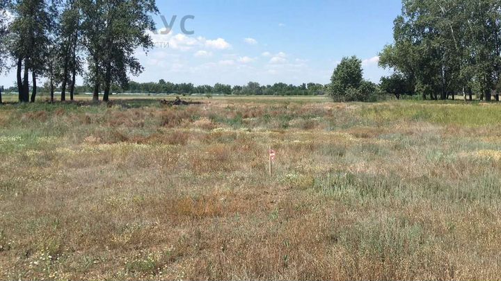 Участок 12 сот. (ИЖС)