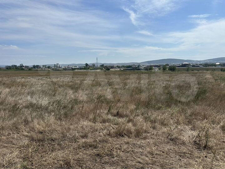 Участок 1,53 га (СНТ, ДНП)