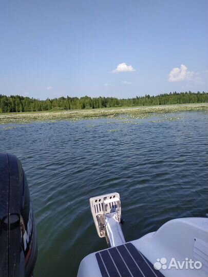 Катер Феникс 560 + мотор Меркури 115