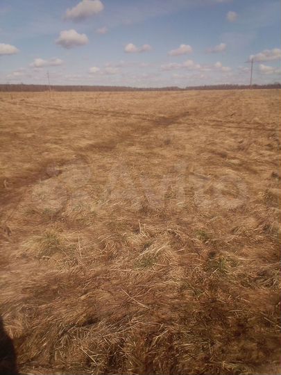 Участок 38 сот. (ИЖС)