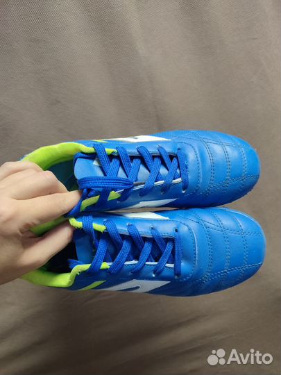 Сороконожка