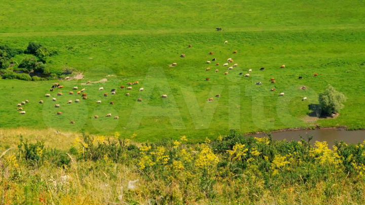 Участок 45,24 га (СНТ, ДНП)