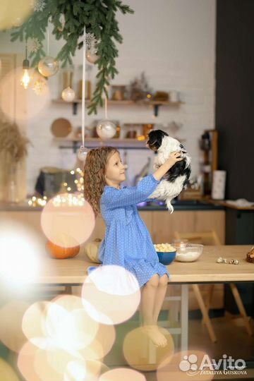 Семейная фотосессия, фотосъемка, фотограф