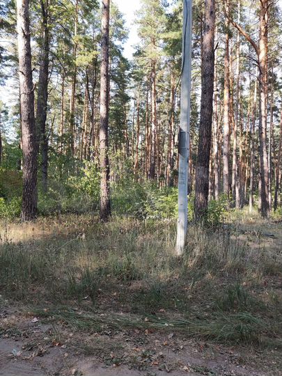 Участок 20 сот. (ИЖС)