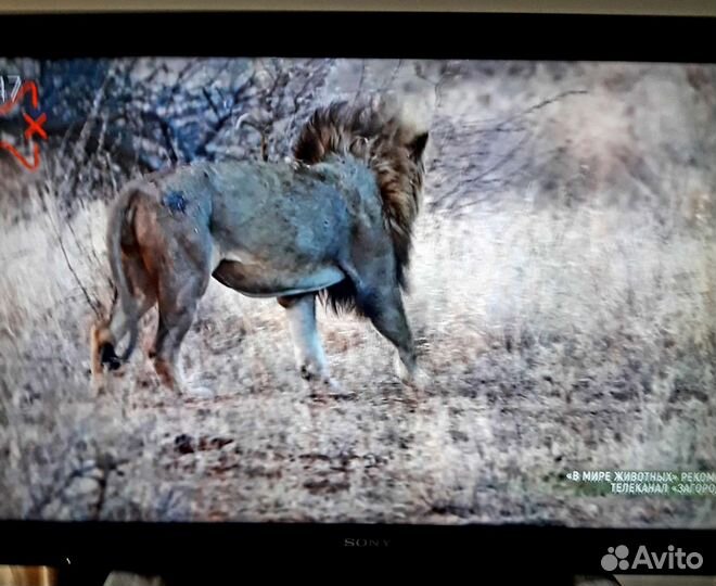 Цветной Ж/К телевизор