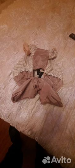 Собачья куртка