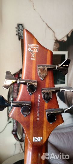 Бас гитара ESP LTD D 5 5 струн торг