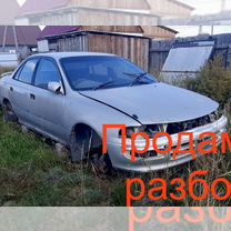 Toyota Carina 1.8 AT, 1994, 100 000 км, с пробегом, цена 50 000 руб.