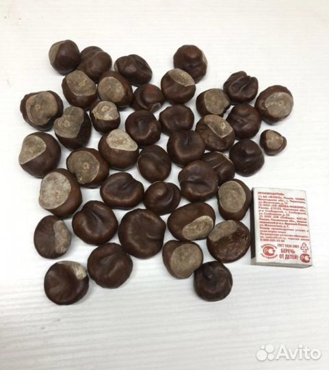 Каштаны для поделок