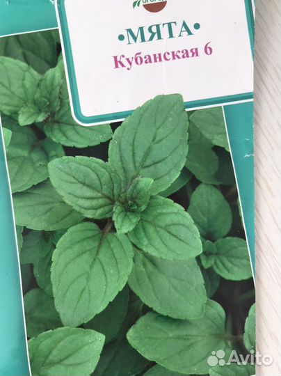 Мята несколько сортов,мелисса,тимьян (чабрец)