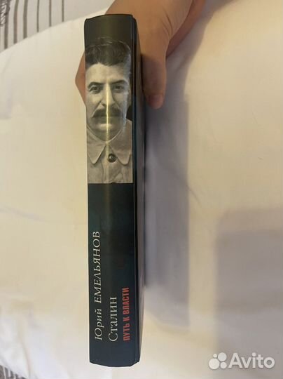 Сталин. Путь к власти. Юрий Емельянов