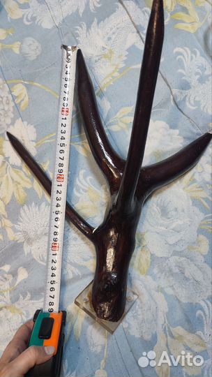 Вешалка рог дерево