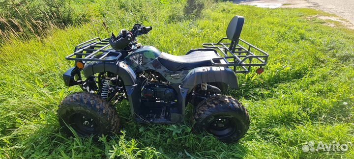 Motax grizlik 200 lux 2024