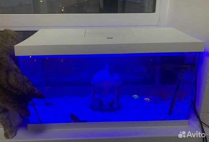 Аквариум
