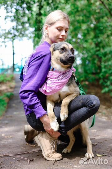 Спасите из клетки